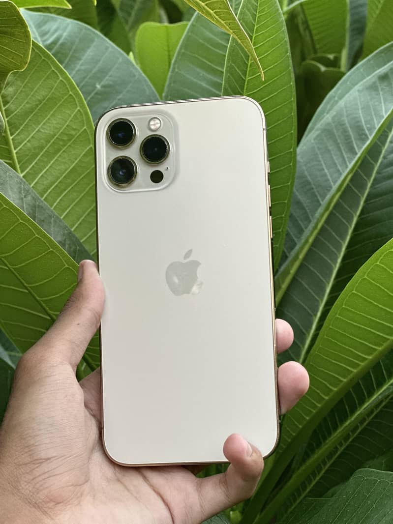 Apple iPhone 12 Pro Max 0