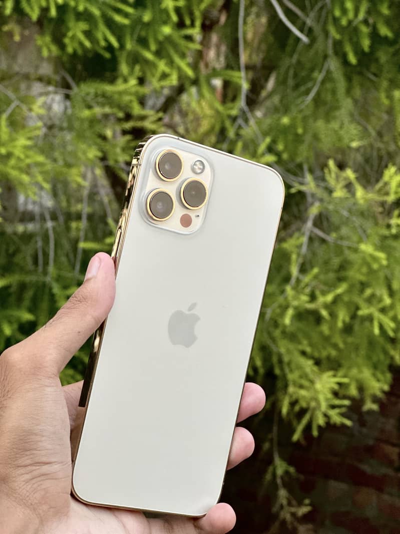 Apple iPhone 12 Pro Max 1