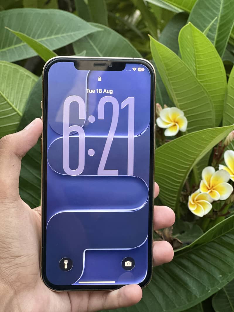 Apple iPhone 12 Pro Max 2