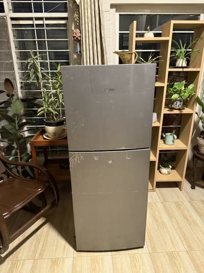 Haier HRF 246 216 litres/9 cubic feet