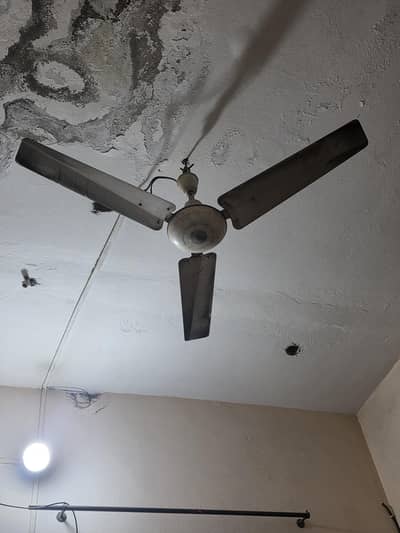 Used Ceiling Fan for Sale – Working Condition