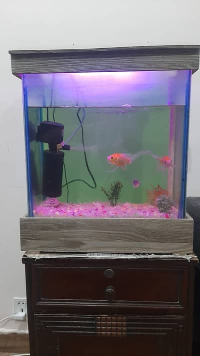 Fish Aquarium Complete set