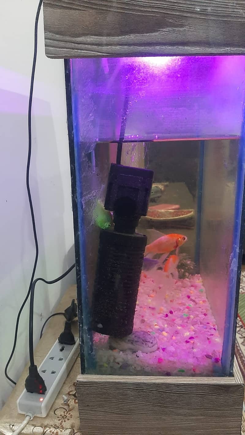 Fish Aquarium Complete set 2