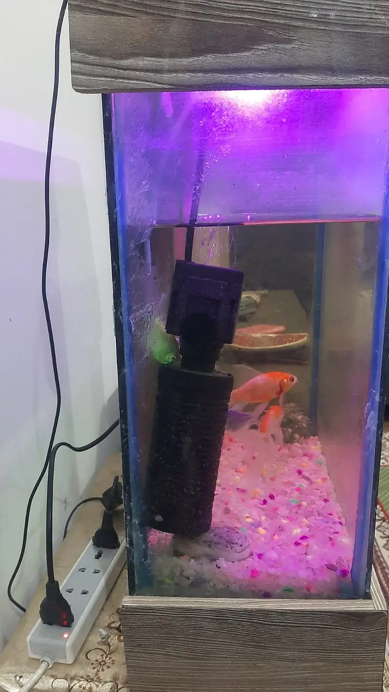 Fish Aquarium Complete set — photo 3