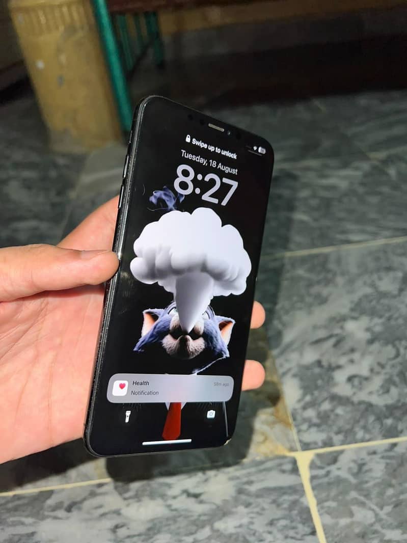 Apple iPhone XS Max 1