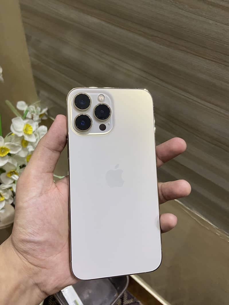 Apple iPhone 13 Pro Max 0