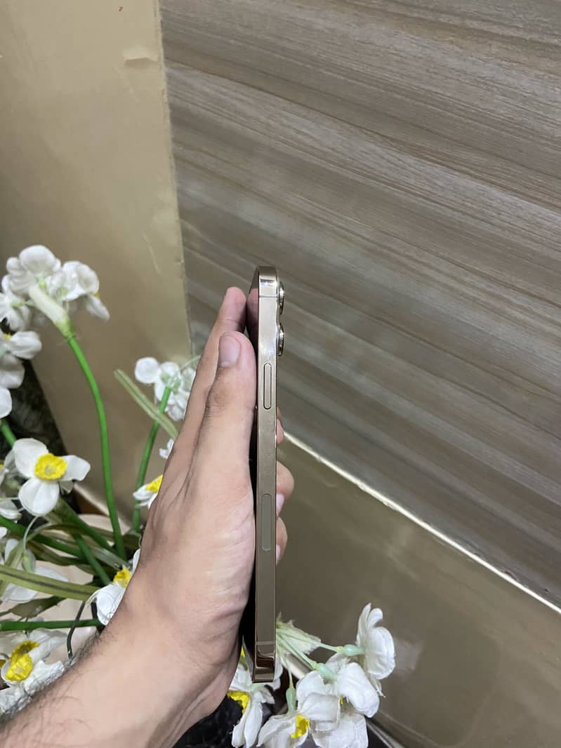 Apple iPhone 13 Pro Max 1