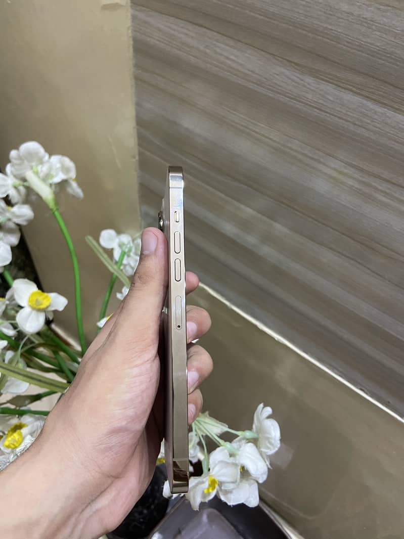 Apple iPhone 13 Pro Max 2