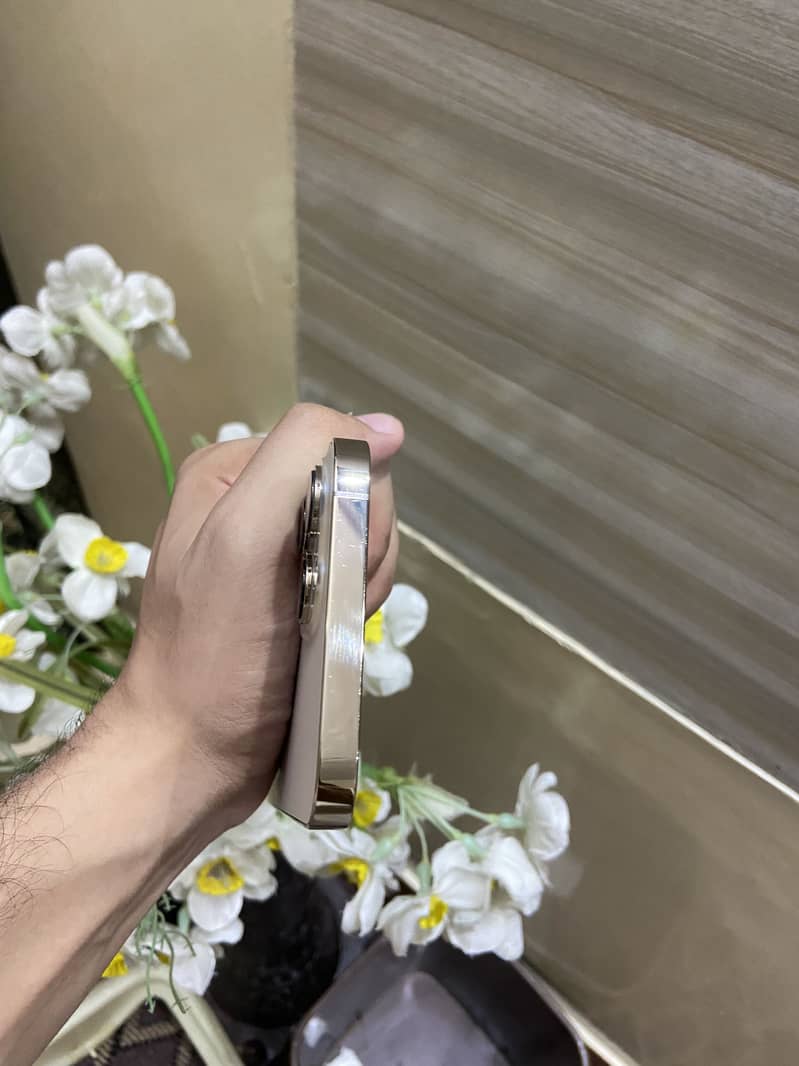 Apple iPhone 13 Pro Max 3