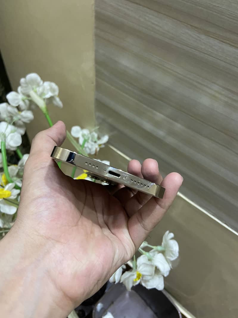 Apple iPhone 13 Pro Max 4