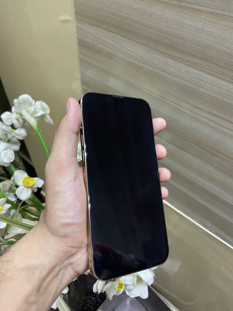 Apple iPhone 13 Pro Max 5
