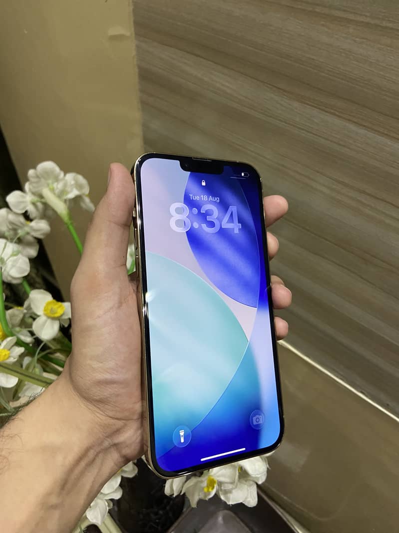 Apple iPhone 13 Pro Max 6