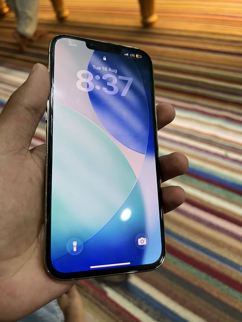Apple iPhone 13 Pro Max 1
