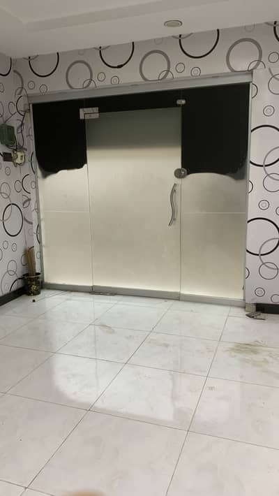 Mirror Door