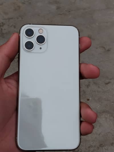 Apple iPhone 11 Pro waterpack