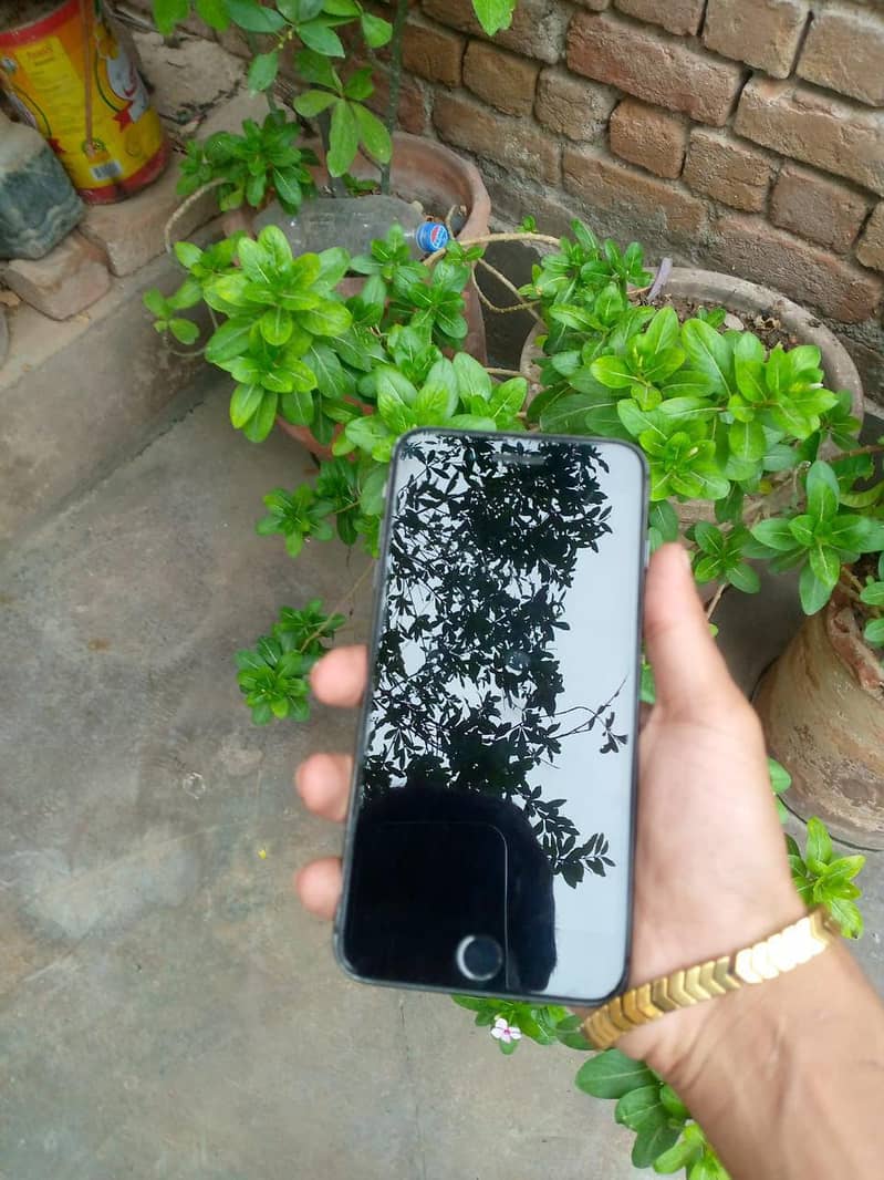 Apple iPhone 8 Plus 7