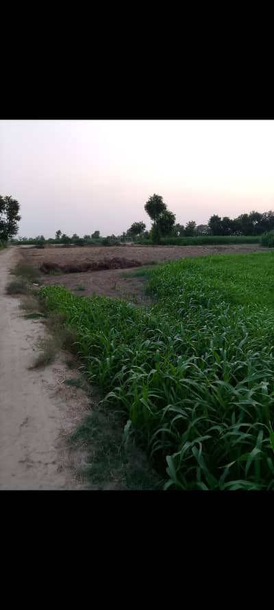 Commercial land