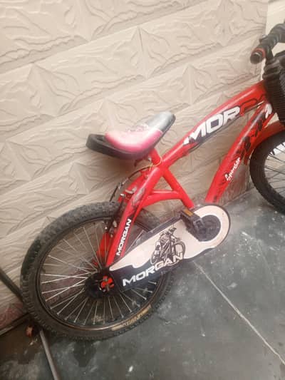comfortable high performance bike