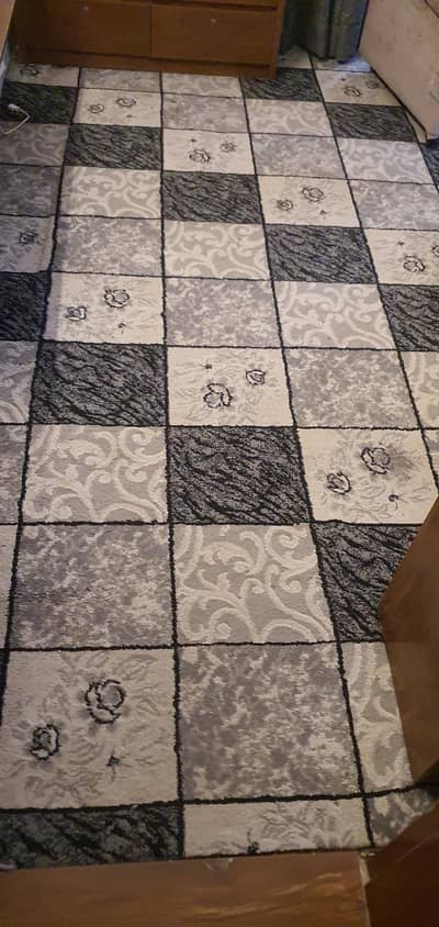 16ftx14ft Carpet with underlay