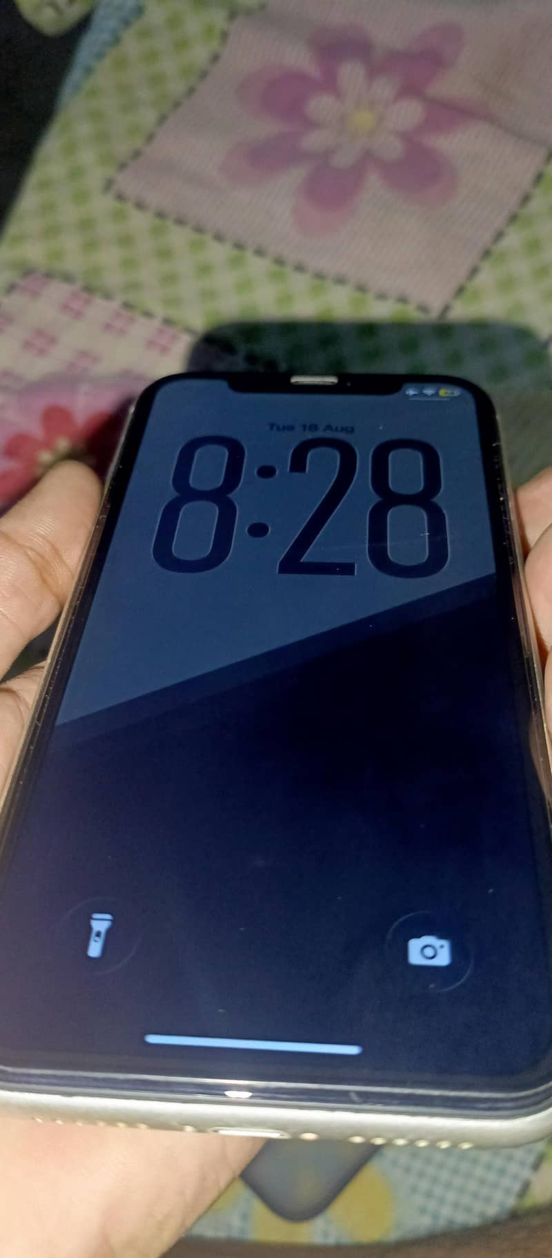 Apple iPhone 11 0
