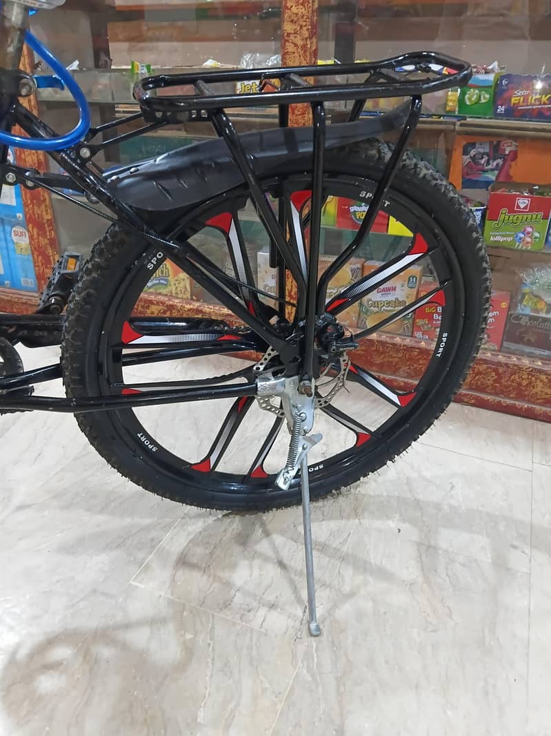 PRIDE Bicycle 1