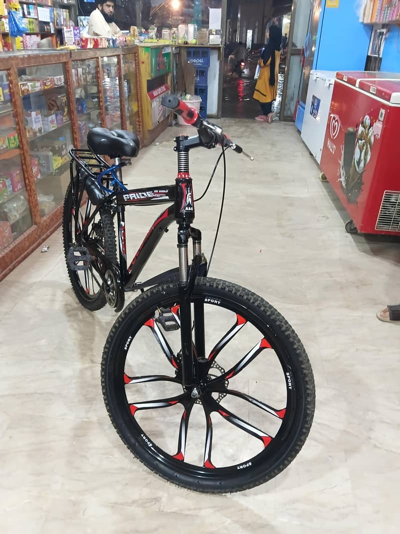 PRIDE Bicycle 2
