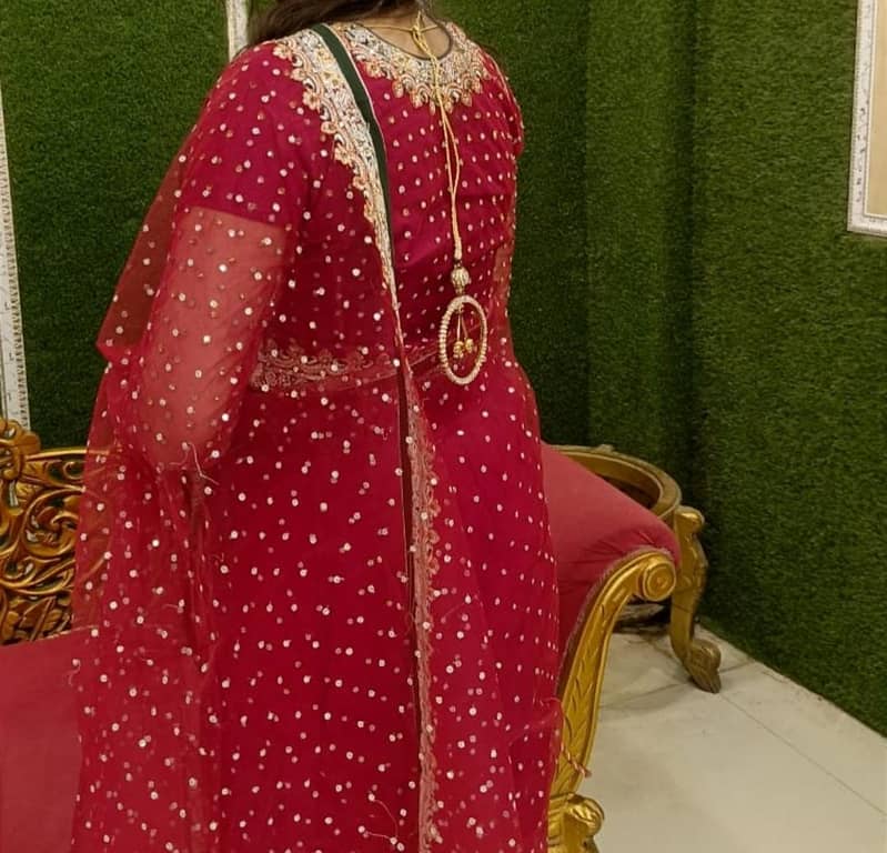 Red Net Saree 5