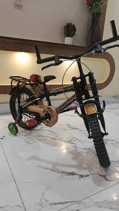 Chicago Bicycle