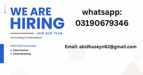 Sales Executive (Night Shift)