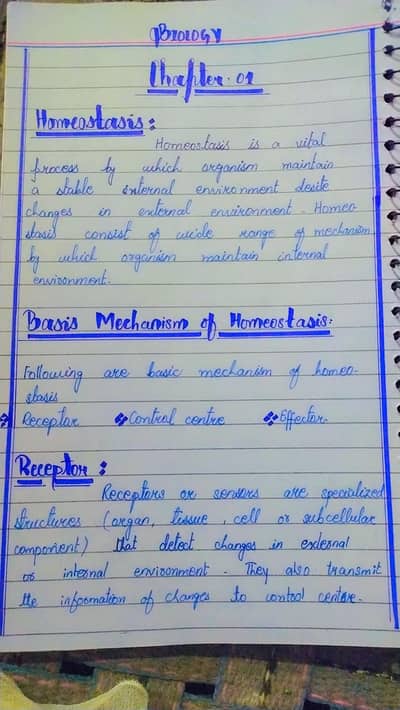 Assignment Writing