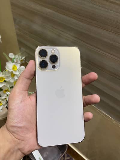 Apple iPhone 13 Pro Max waterproof