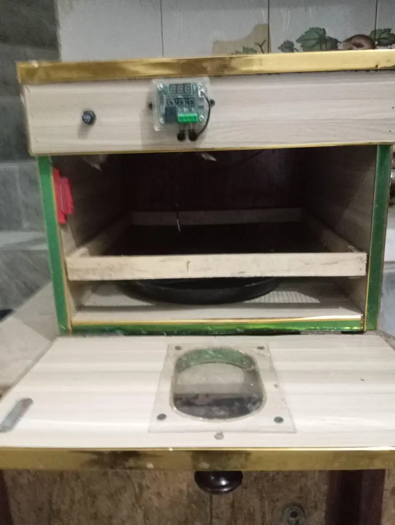 incubator — photo 2