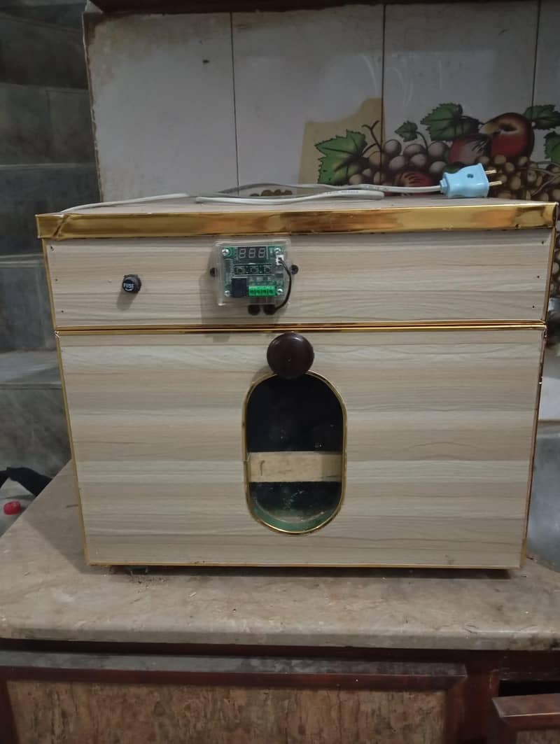 incubator 2