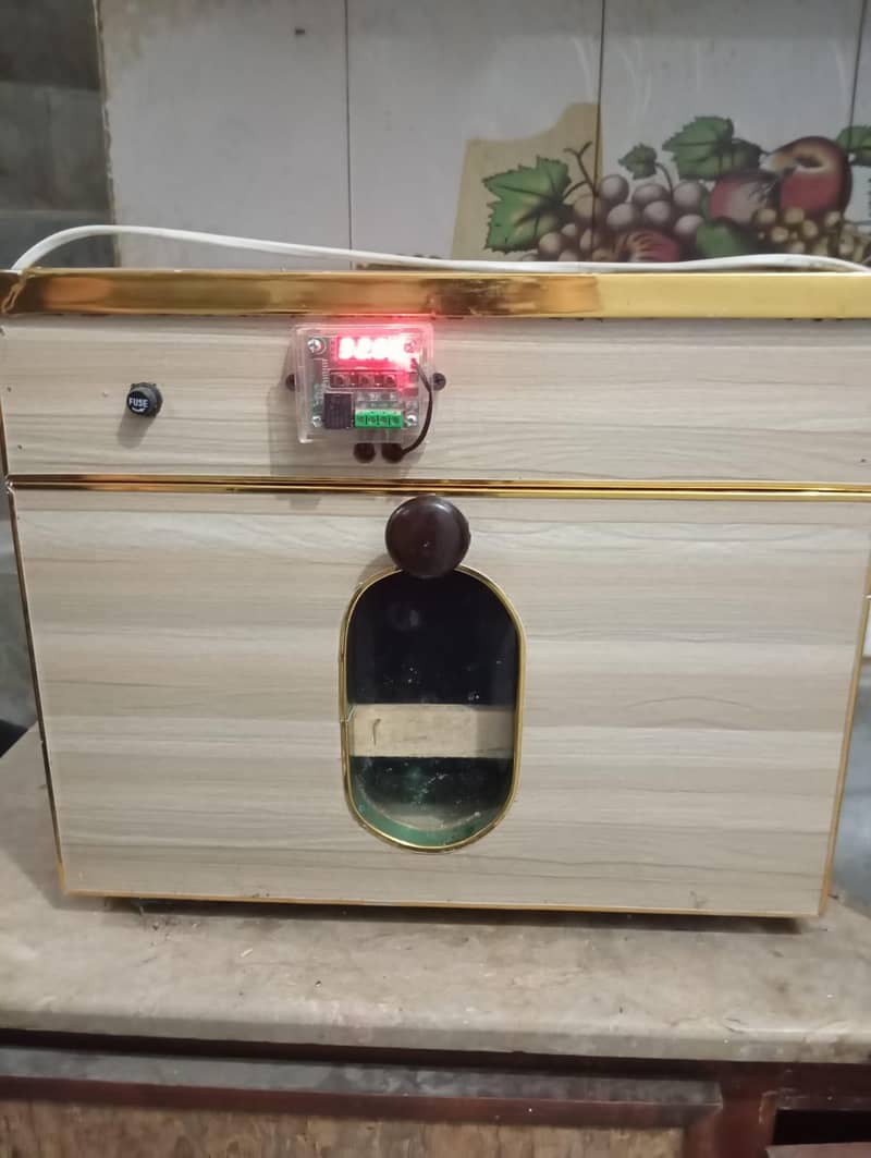 incubator 4