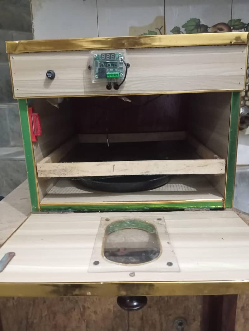 incubator 5