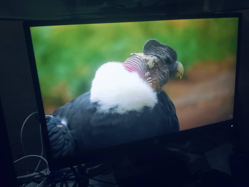 gaming PC 8