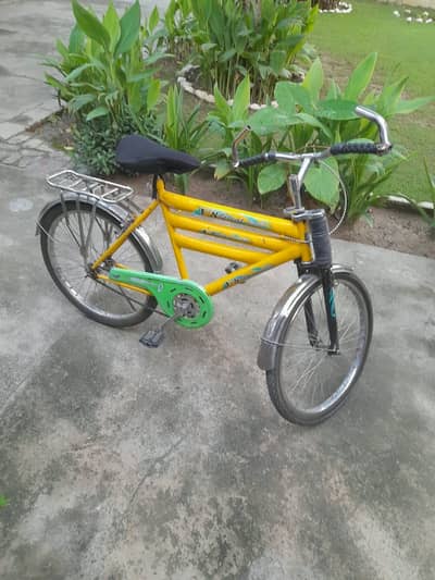 Cycle