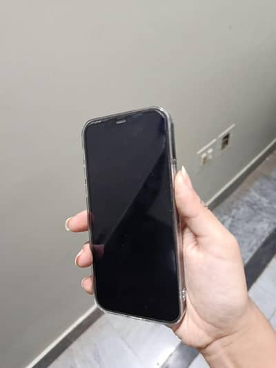 Apple iPhone 12 Pro