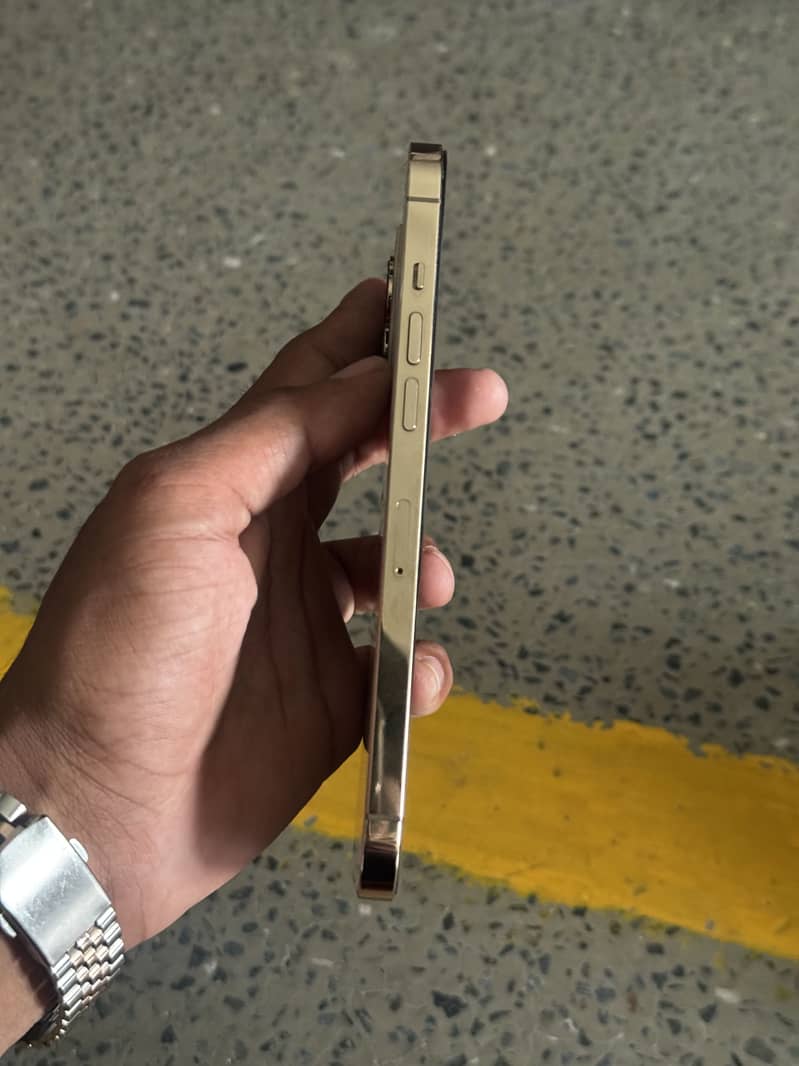 iphone 12 pro max 1