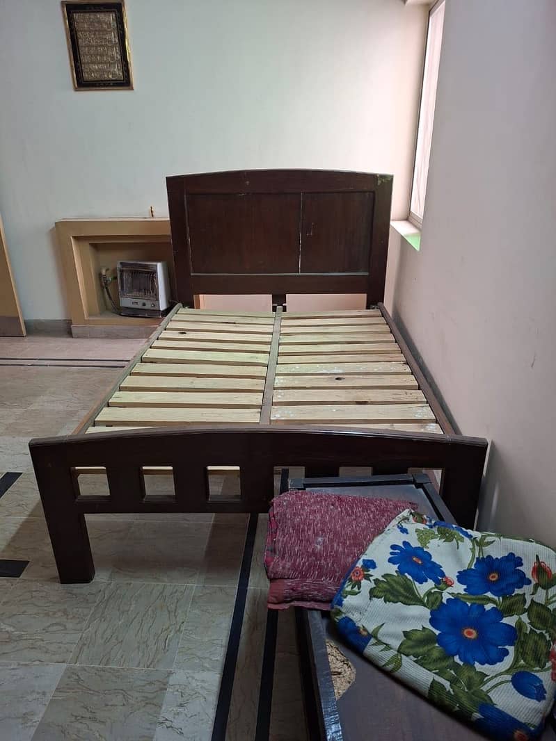 New bed 1