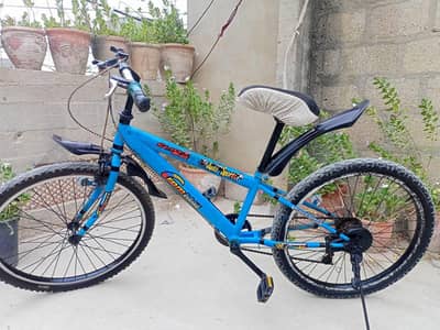 Cycle
