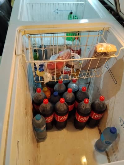 D freezer