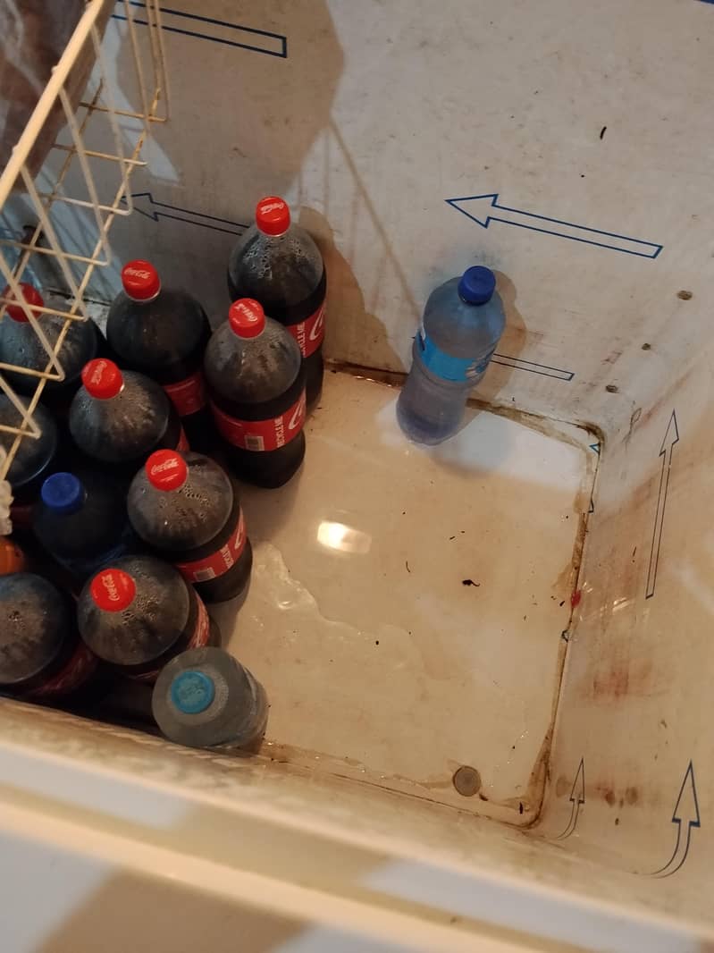 D freezer 1