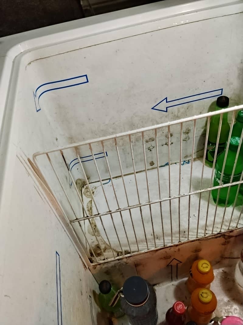 D freezer 3