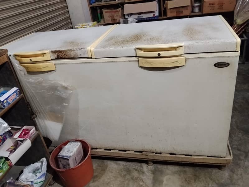 D freezer 4
