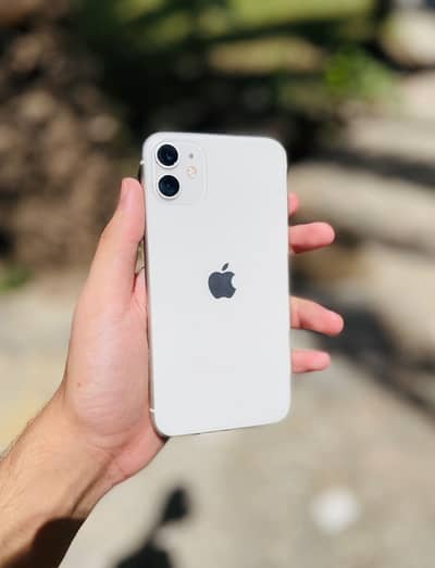 iPhone 11 dual pta Exchange Possible