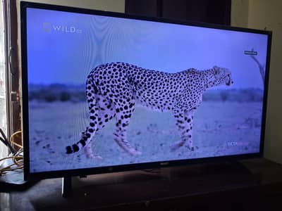 orient simple led 40 inch 03448502692