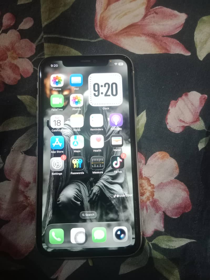 Apple iPhone 11 0