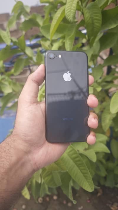 Apple iPhone 8 64gb Sim Working Non PTA non active factory unlocked