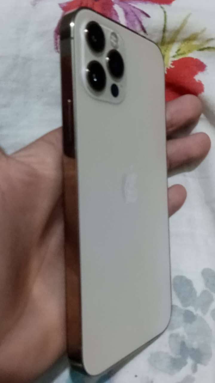 Apple iPhone 12 Pro 1
